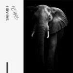 Safari I – Glas - Bild 4