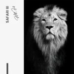 Safari III – Glas - Bild 4