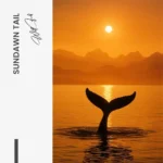 Sundawn Tail – Glas - Bild 4
