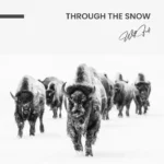 Through the Snow – Glas - Bild 4