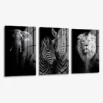 Set: "Safari" (3x) – Glas