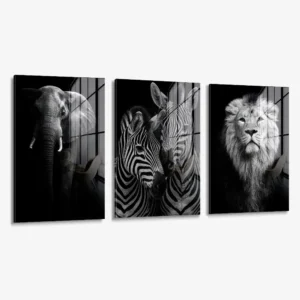 Set: "Safari" (3x) – Glas