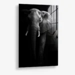 Safari I – Glas