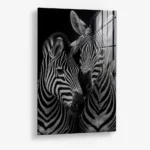 Safari II – Glas