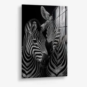Safari II – Glas