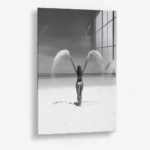 Summer Radius – Glas