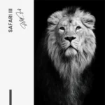 Set: "Safari" (3x) – Glas - Bild 6