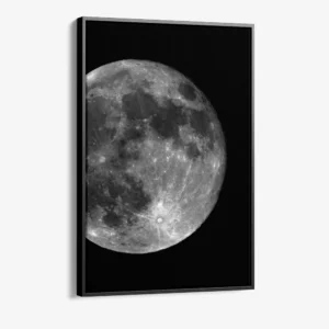 "Lunar Array"