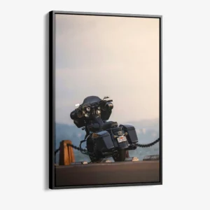 "Road Sentinel"