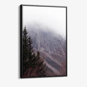 "Stone Fade"