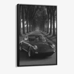 "Treeline Porsche"