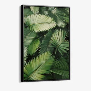 "Tropic Pattern"