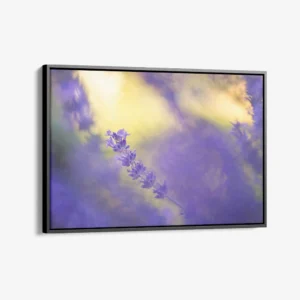 "Violet Frequency"