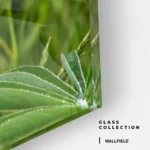 Field Cipher – Glas - Bild 4