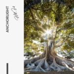 Anchorlight – Glas - Bild 5