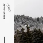 Branchmark – Glas - Bild 5