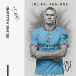 Erling Haaland – Glas - Bild 5