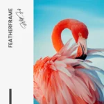 Featherframe – Glas - Bild 5