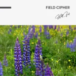 Field Cipher – Glas - Bild 5