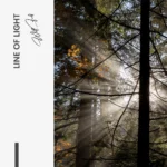 Line of Light – Glas - Bild 5