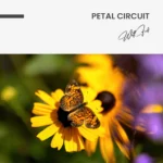 Petal Circuit – Glas - Bild 5