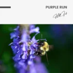 Purple Run – Glas - Bild 5