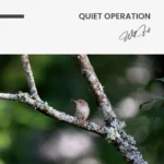Quiet Operation – Glas - Bild 5