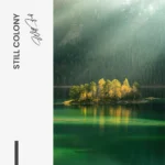 Still Colony – Glas - Bild 5
