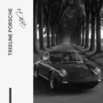 Treeline Porsche – Glas - Bild 5
