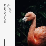Tropical Curve – Glas - Bild 5