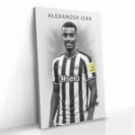 "Alexander Isak" - Bild 2