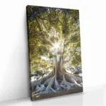 "Anchorlight" - Bild 2