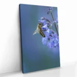 "Blue Range Work" - Bild 2