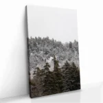 "Branchmark" - Bild 2