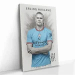 "Erling Haaland" - Bild 2