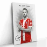 "Harry Kane" - Bild 2