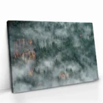 "Hidden Tiers" - Bild 2