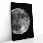 "Lunar Array" - Bild 2