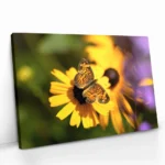 "Petal Circuit" - Bild 2