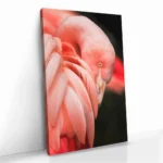 "Side Veil" - Bild 2