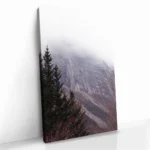 "Stone Fade" - Bild 2