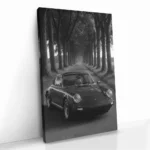 "Treeline Porsche" - Bild 2