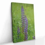 "Upright Signal" - Bild 2