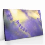 "Violet Frequency" - Bild 2