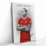 "Virgil van Dijk II" - Bild 2