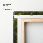 "Anchorlight" - Bild 5