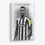 Alexander Isak – Glas