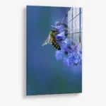 Blue Range Work – Glas