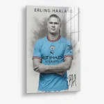Erling Haaland – Glas