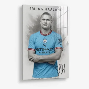 Erling Haaland – Glas